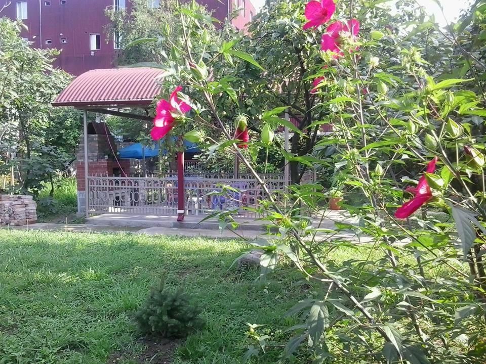Гостевой дом Holiday Home Rustaveli 122 Кобулети-36