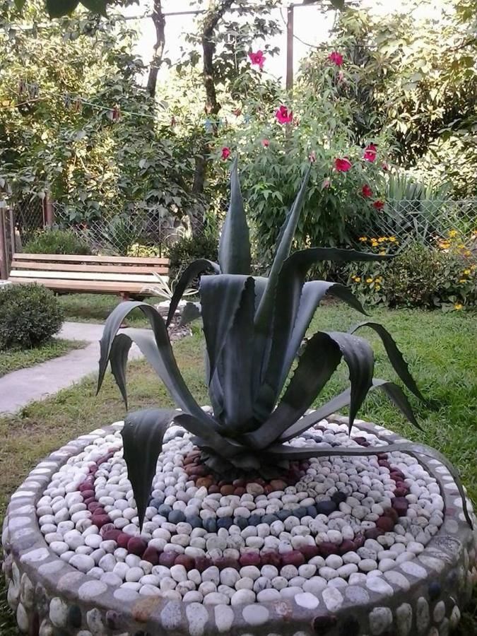 Гостевой дом Holiday Home Rustaveli 122 Кобулети-40